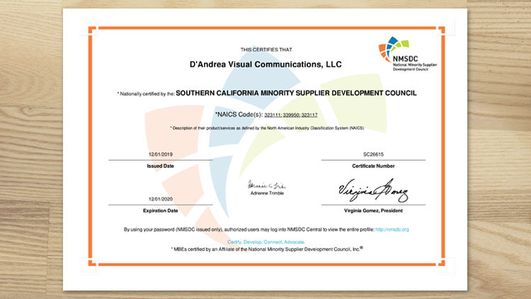 D'Andrea Visual Minority Certificate