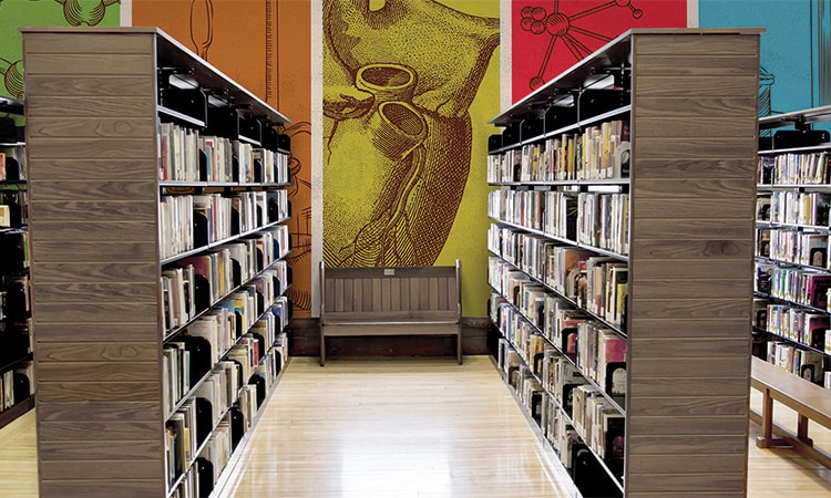 library-wallcovering